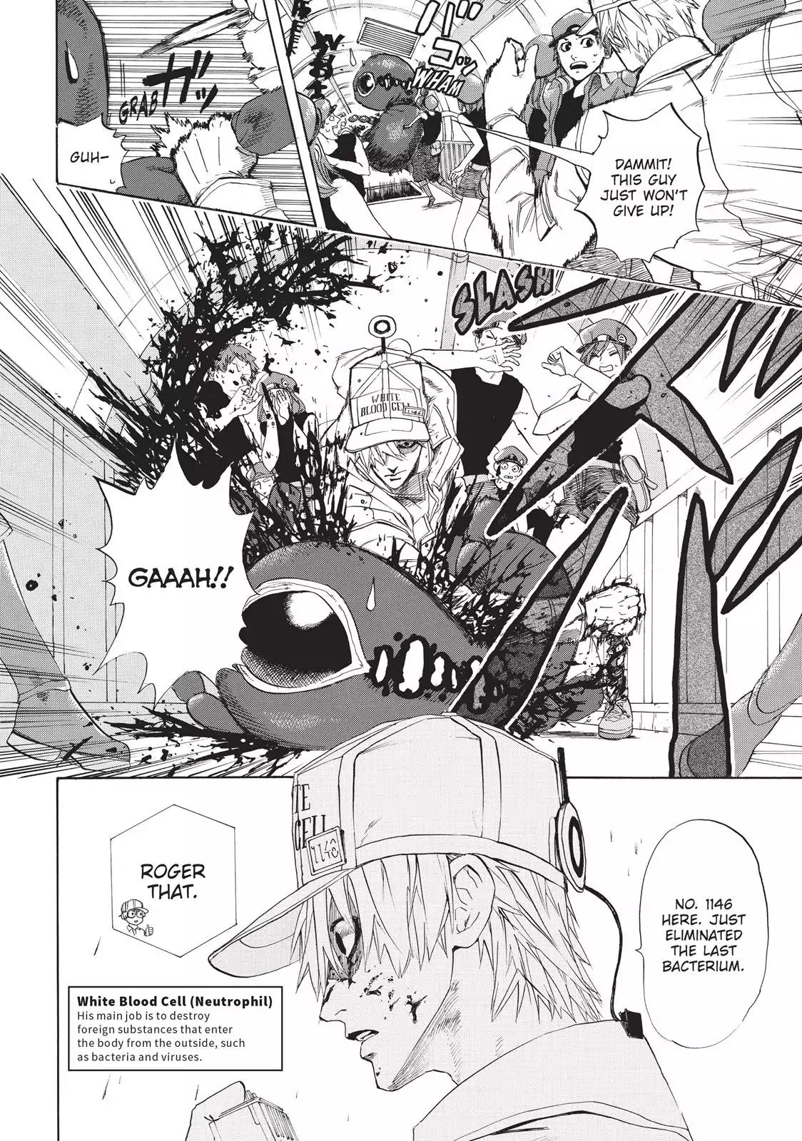 Hataraku Saibou chapter 6 page 4