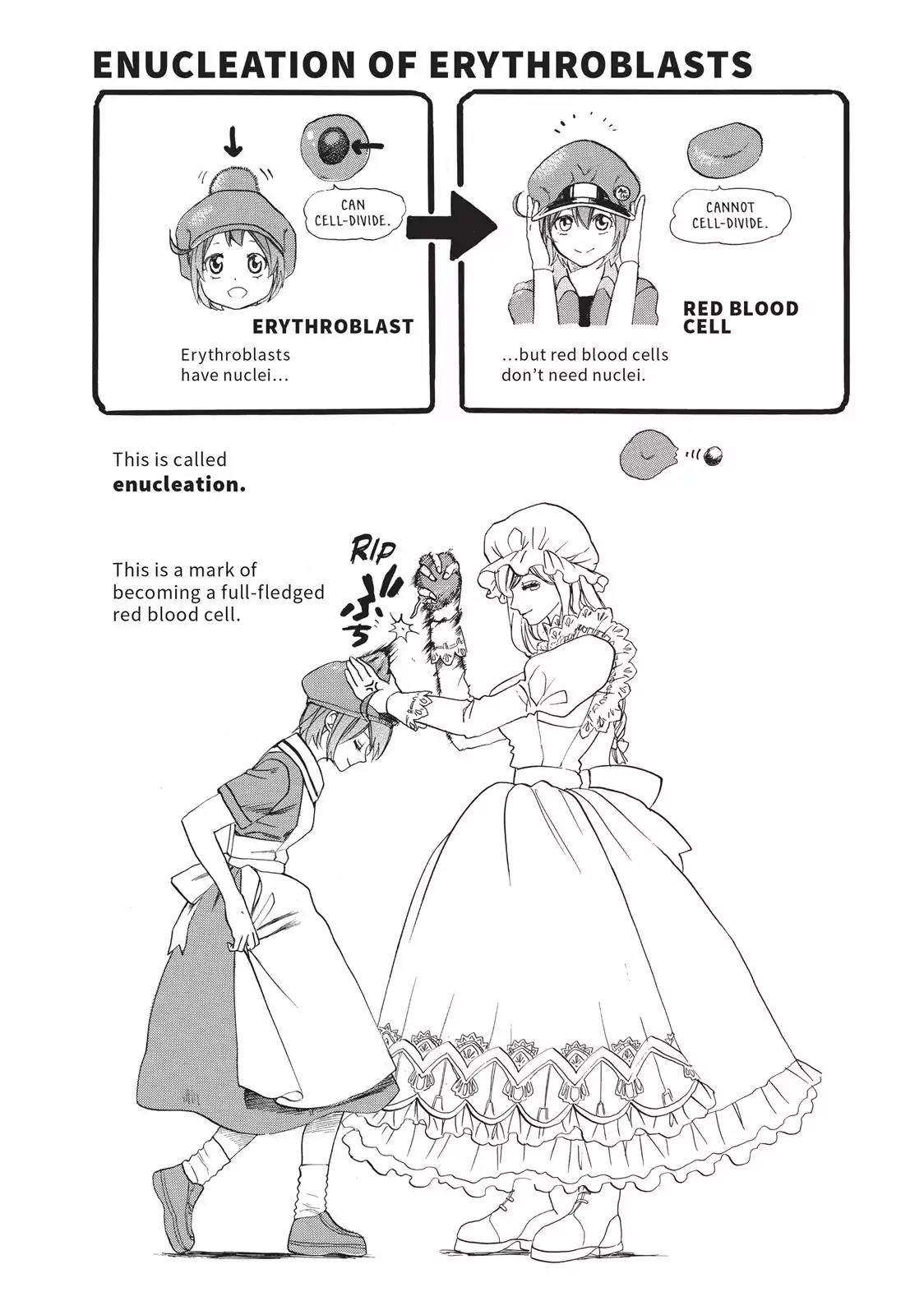 Hataraku Saibou chapter 7 page 31