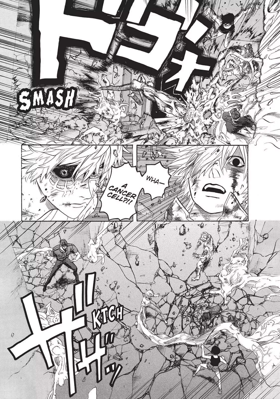 Hataraku Saibou chapter 9 page 12