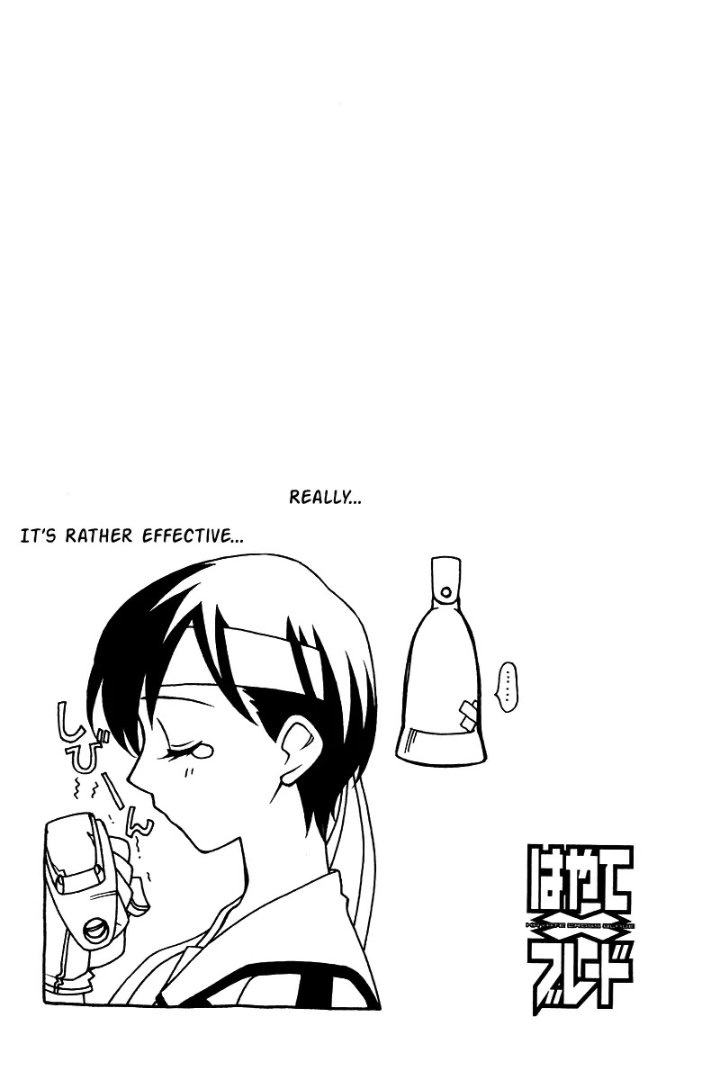 Hayate x Blade chapter 4 page 29