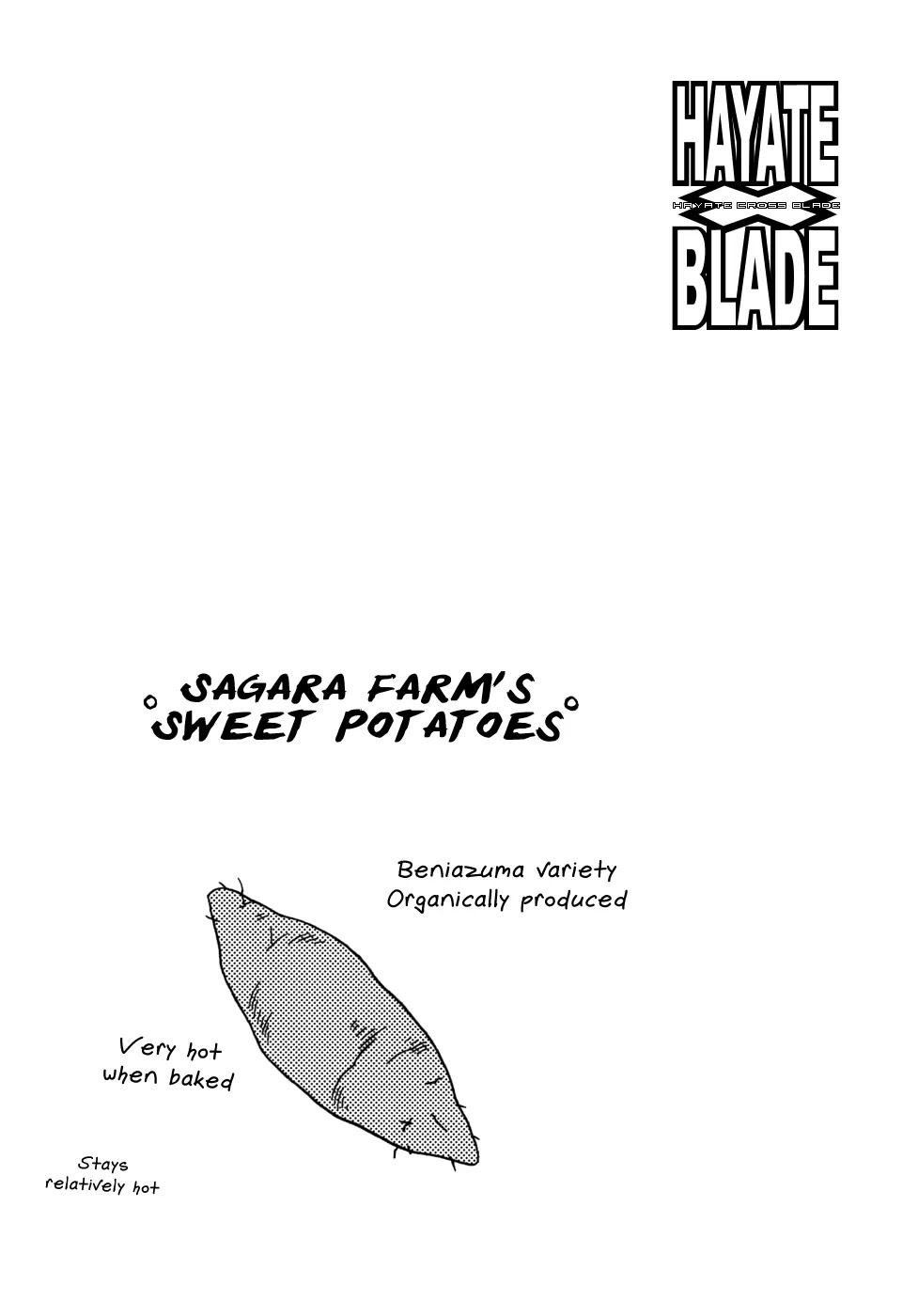 Hayate x Blade chapter 47 page 36