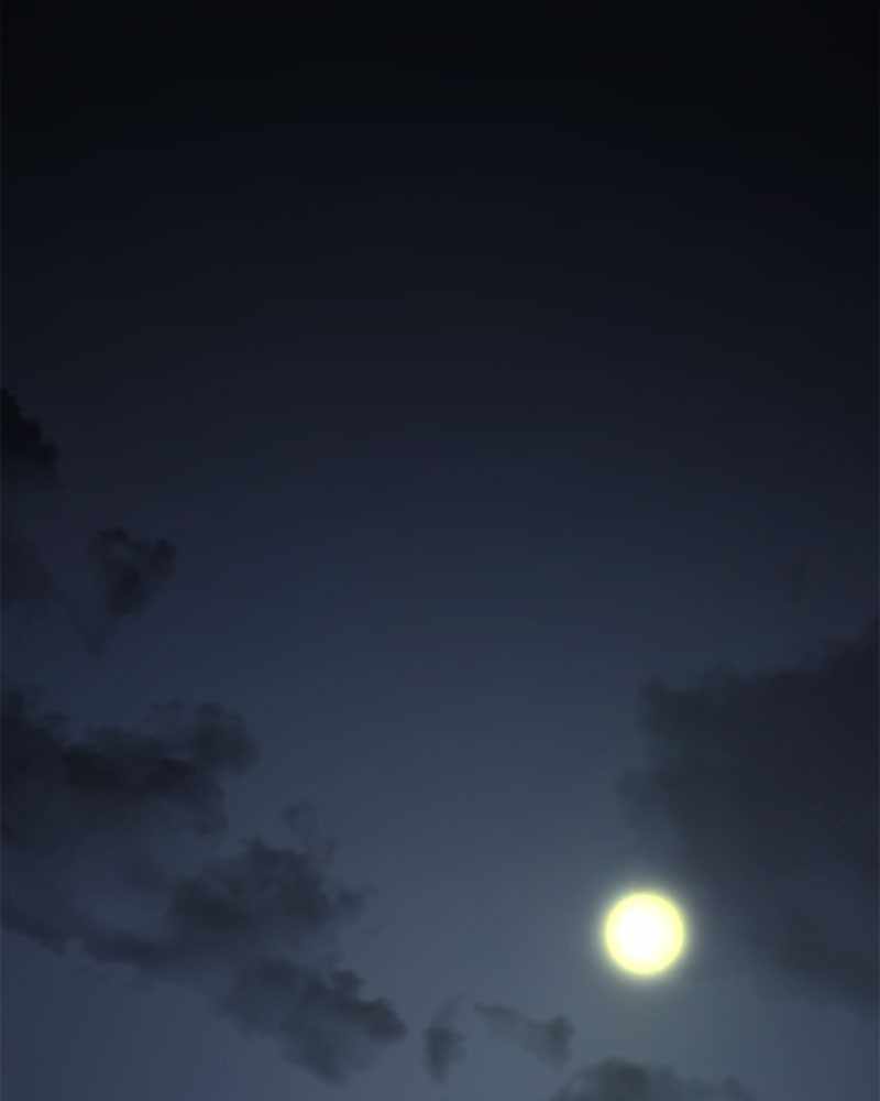 Hero Killer chapter 69 page 119