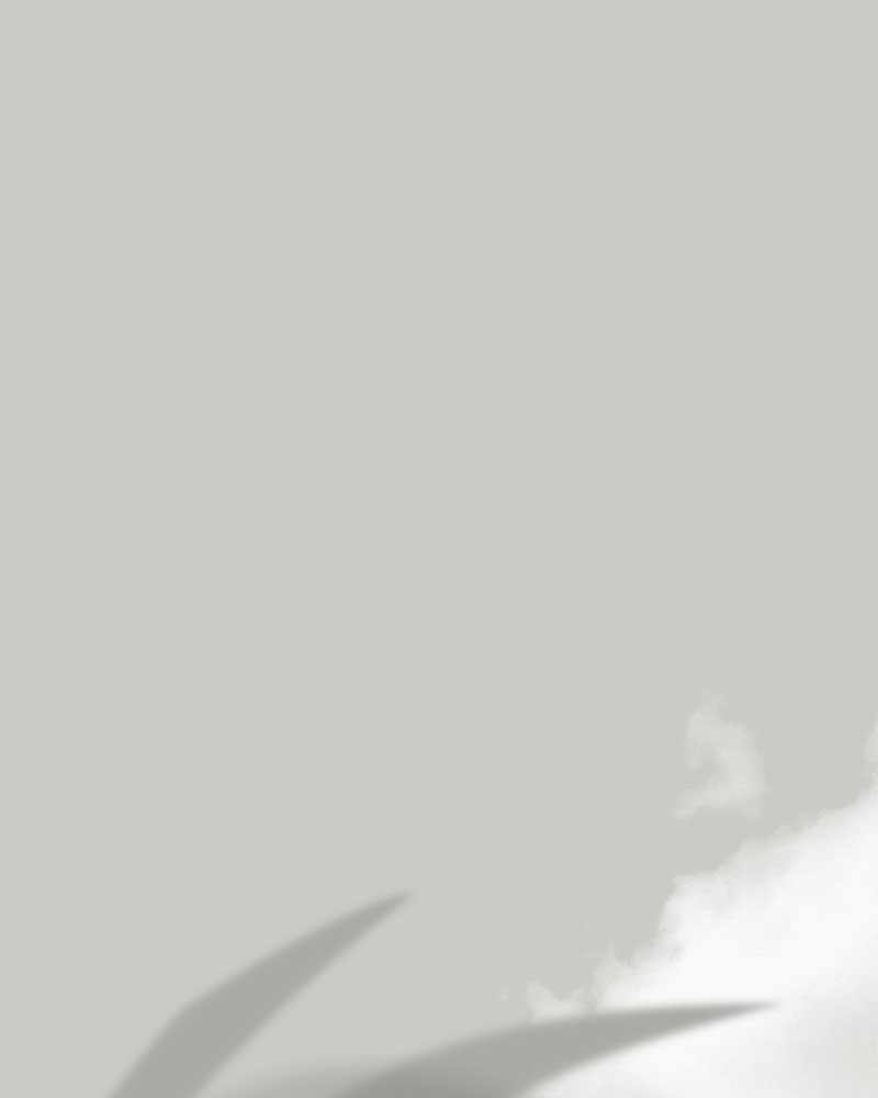 Hero Killer chapter 69 page 24