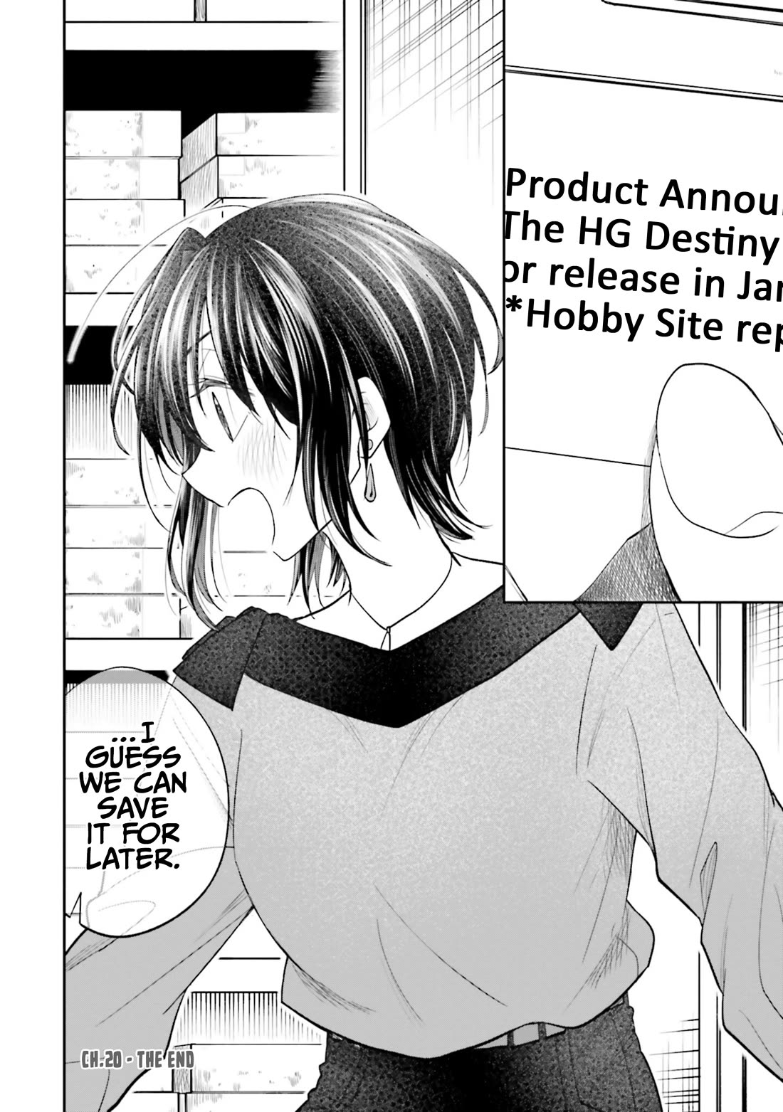 HG ni Koisuru Futari chapter 20 page 14