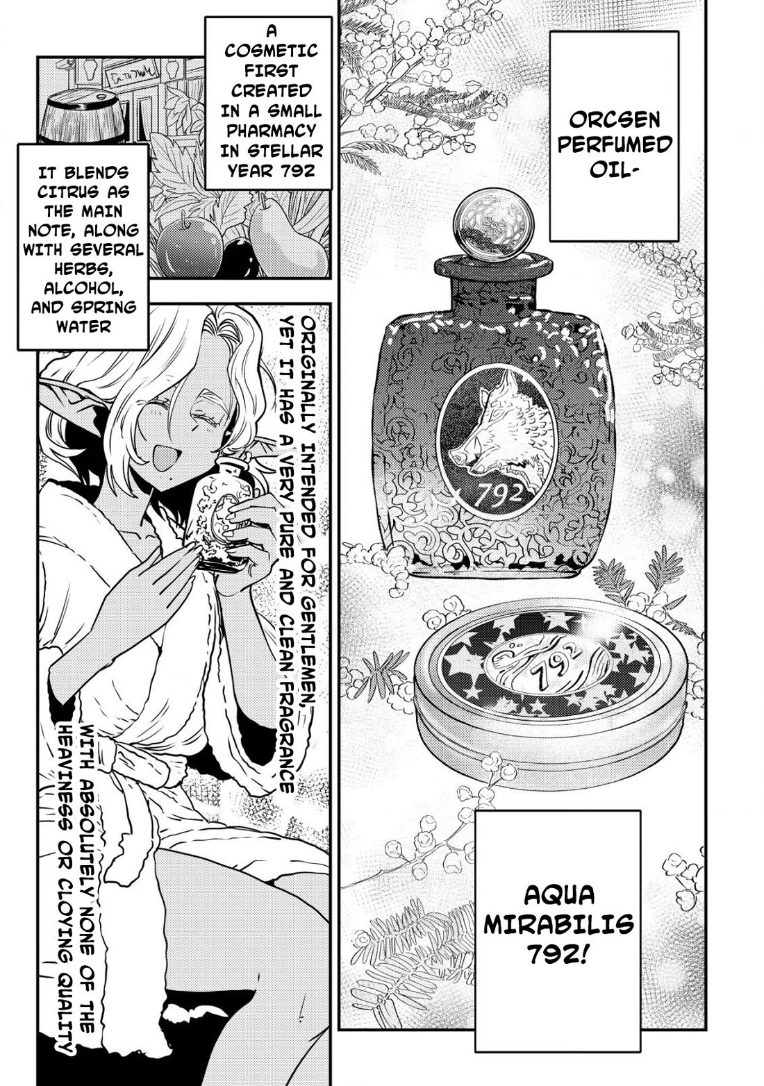 History of the Kingdom of the Orcsen: How the Barbarian Orcish Nation Came to Burn Down the Peaceful Elfland chapter 8 page 38