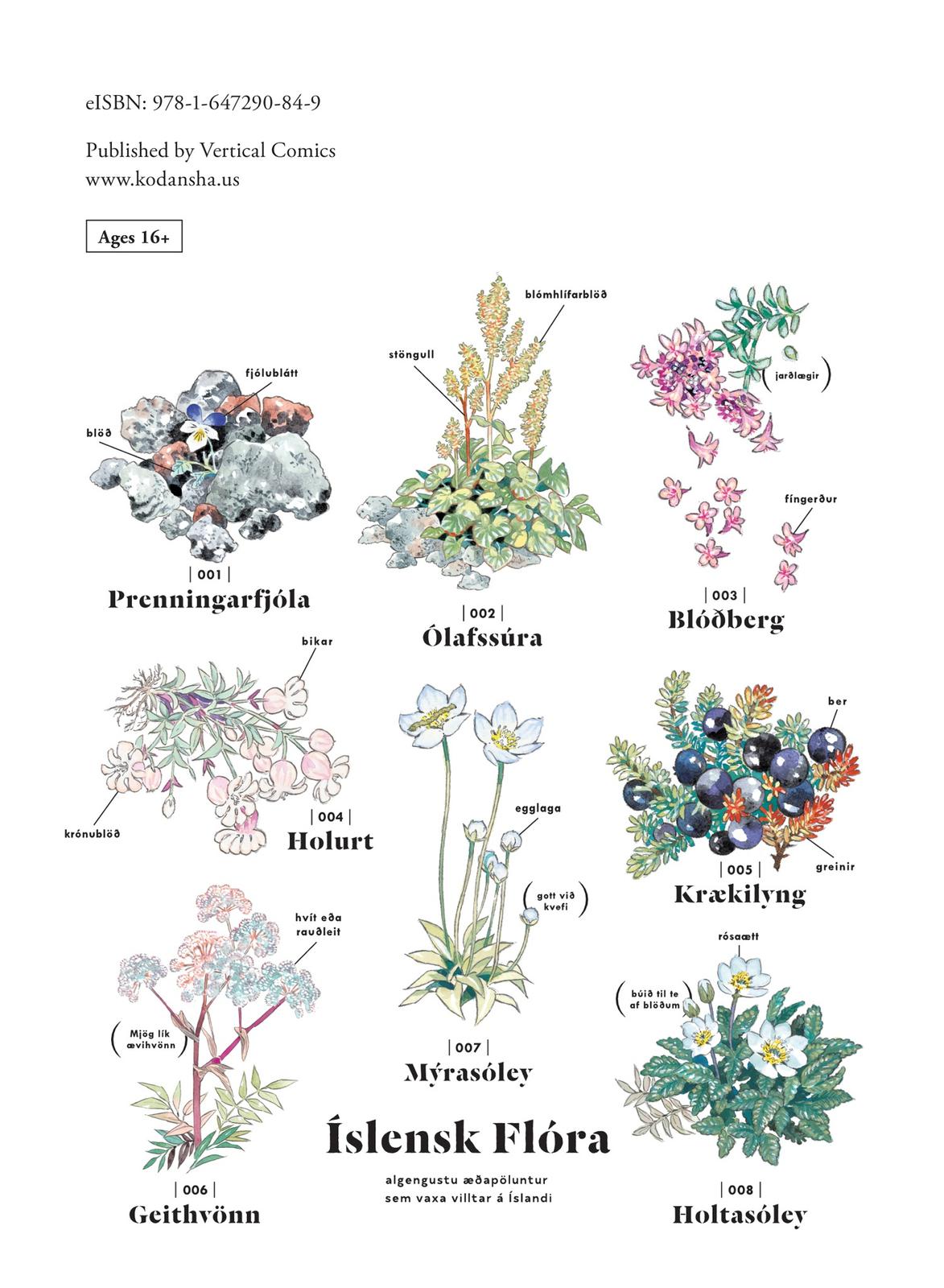 Hokuhokusei ni Kumo to Ike chapter 26 page 33