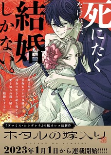 Cover of Hotaru no Yomeiri