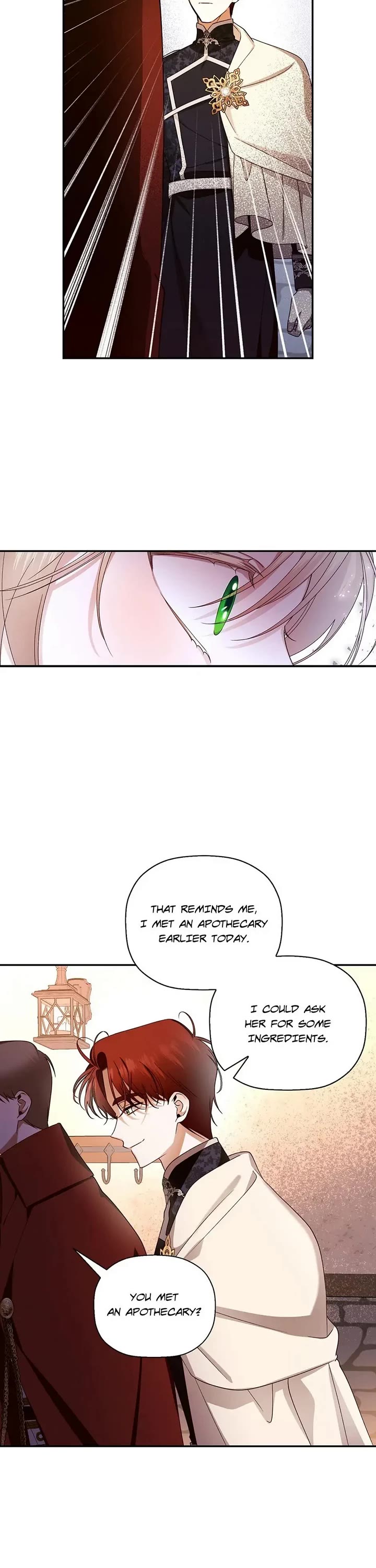 How to Hide the Emperor's Child chapter 21 page 12