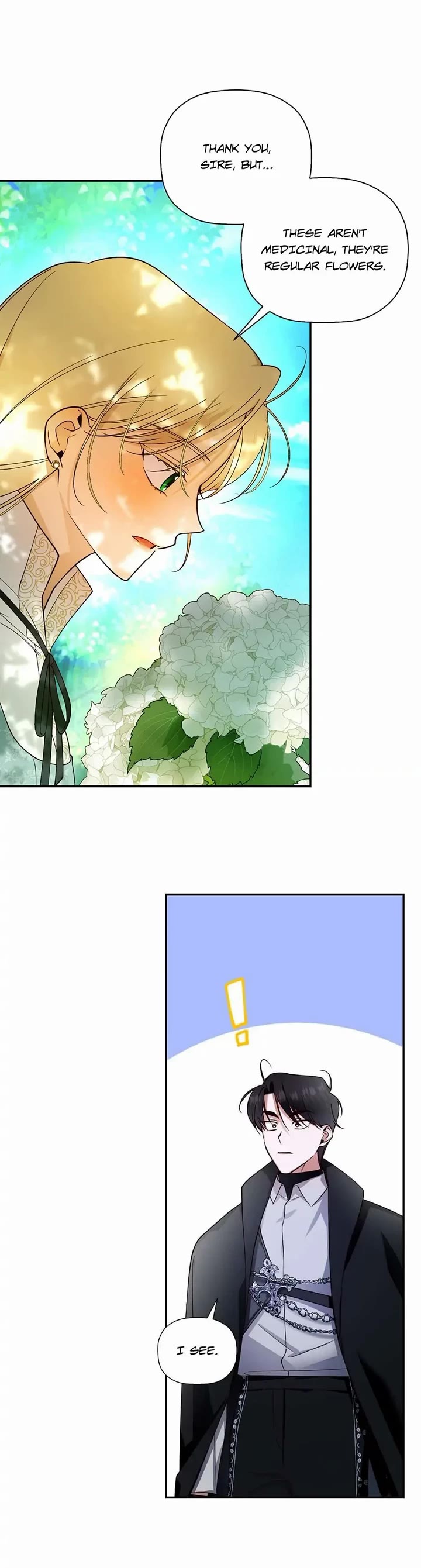 How to Hide the Emperor's Child chapter 22 page 5