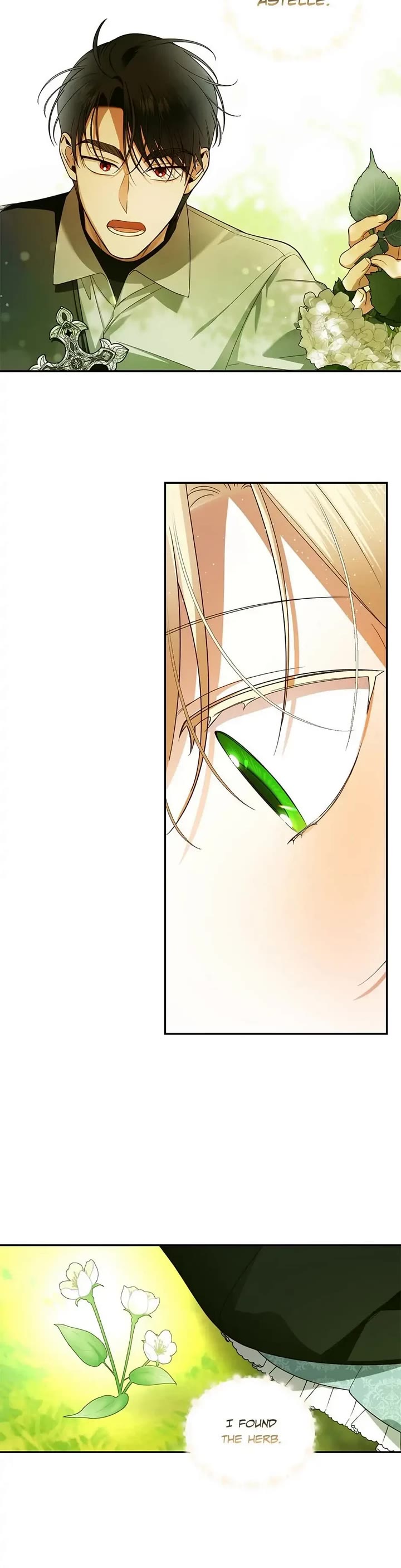 How to Hide the Emperor's Child chapter 23 page 19