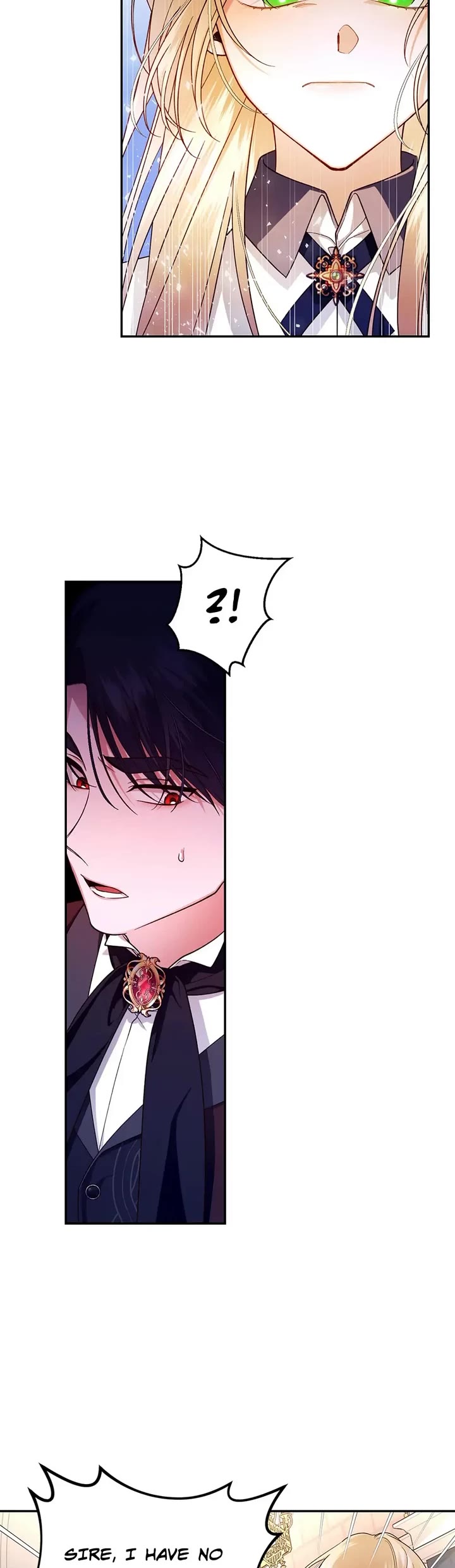 How to Hide the Emperor's Child chapter 27 page 9