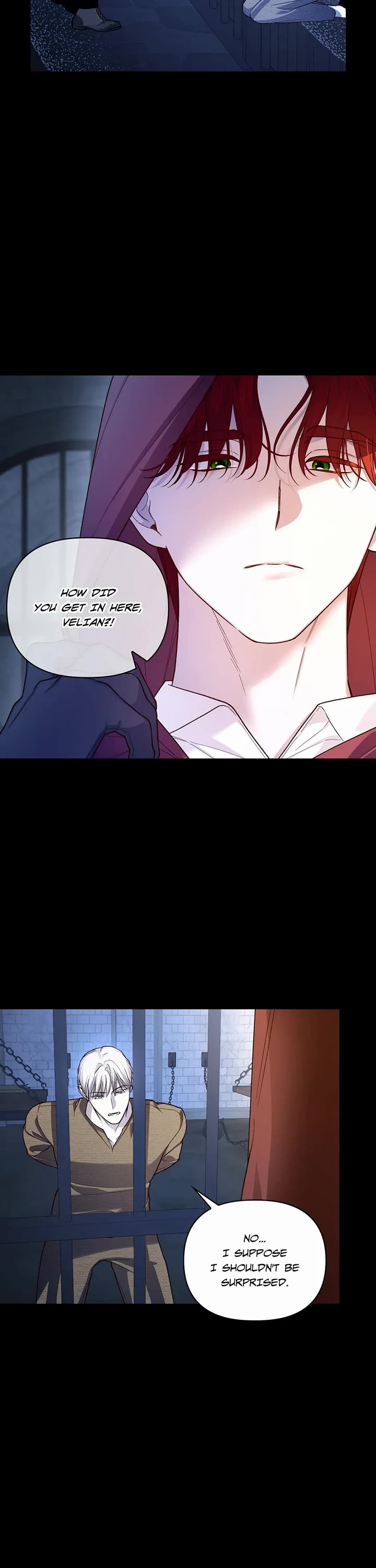 How to Hide the Emperor's Child chapter 93 page 13