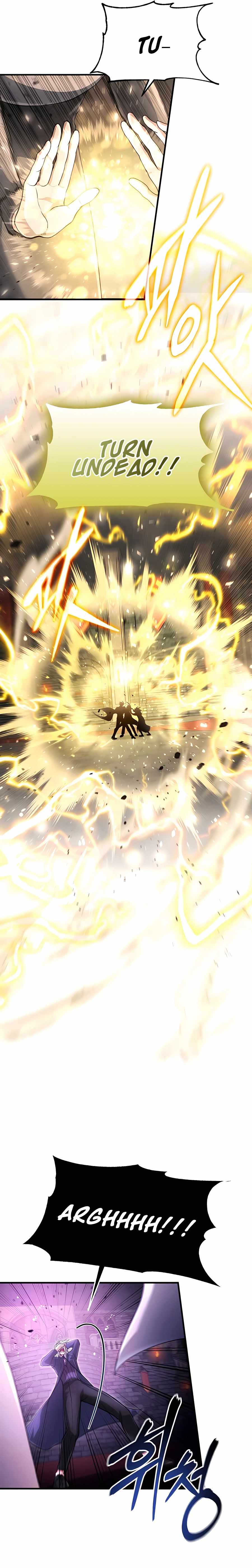 How To Live As An Unlicensed Healer chapter 24 page 13