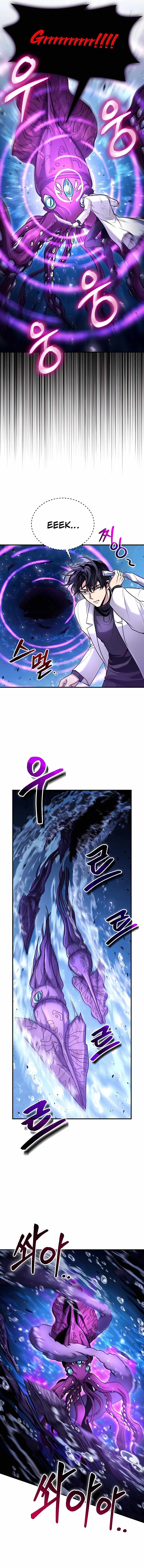 How To Live As An Unlicensed Healer chapter 40 page 13