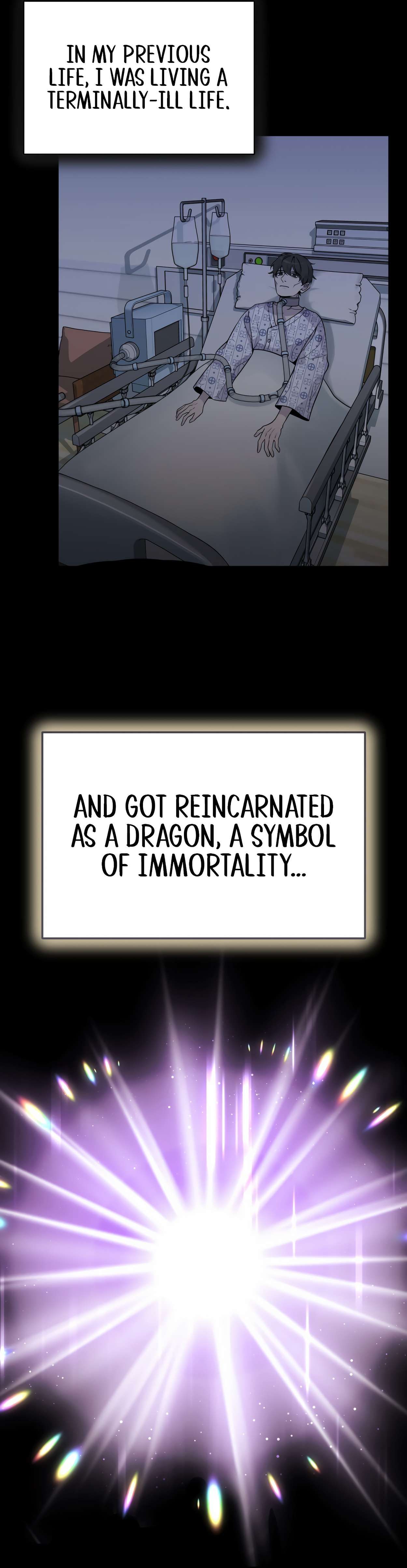 How to Survive as a Dragon with Time-Limit chapter 0 page 11