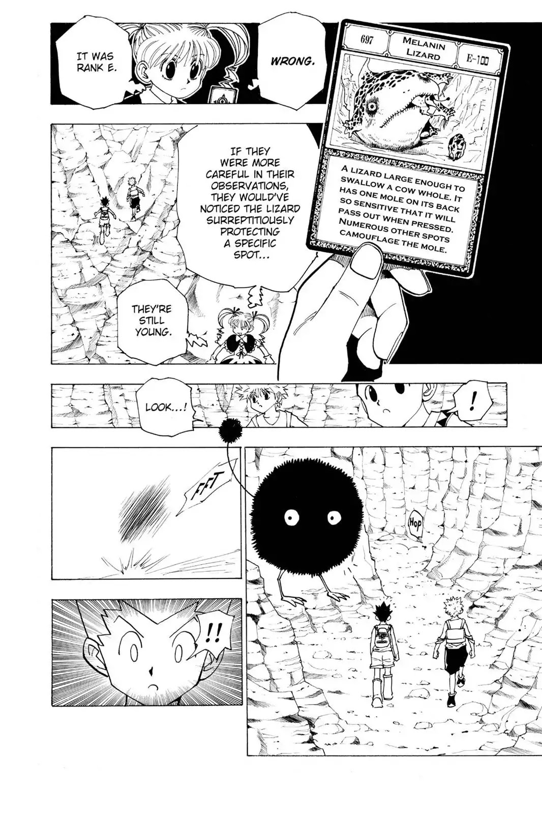 Hunter X Hunter chapter 136 page 2