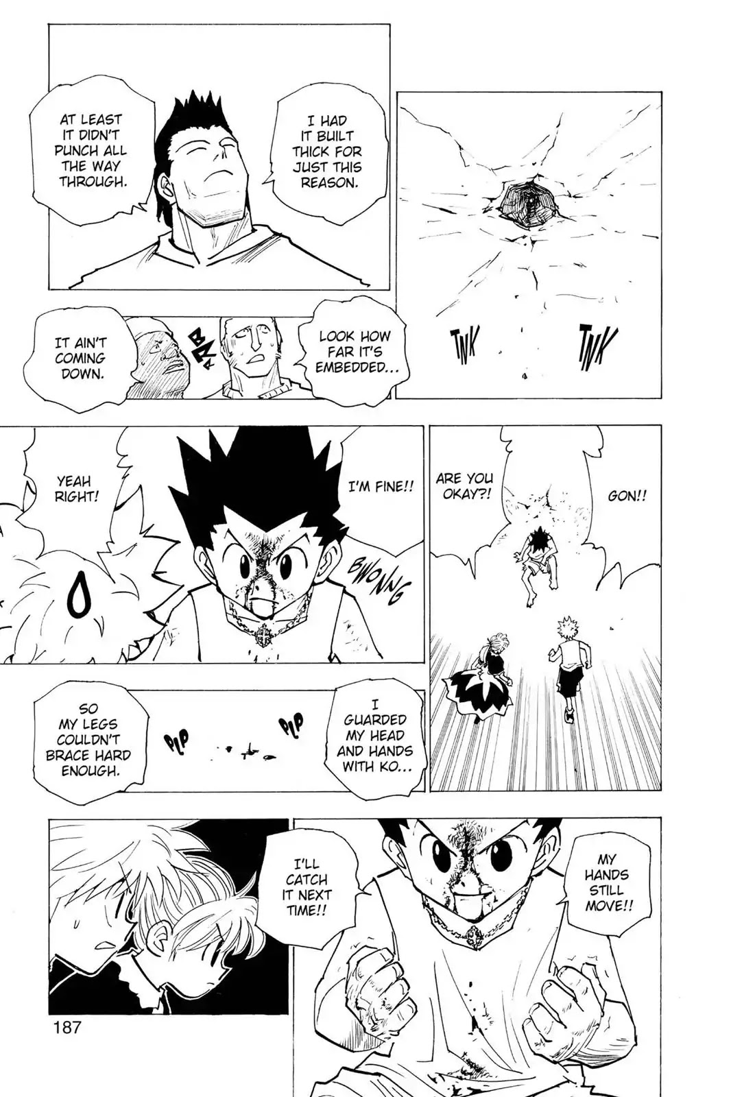 Hunter X Hunter chapter 163 page 11