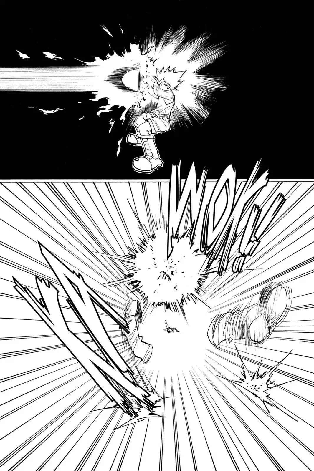 Hunter X Hunter chapter 163 page 9