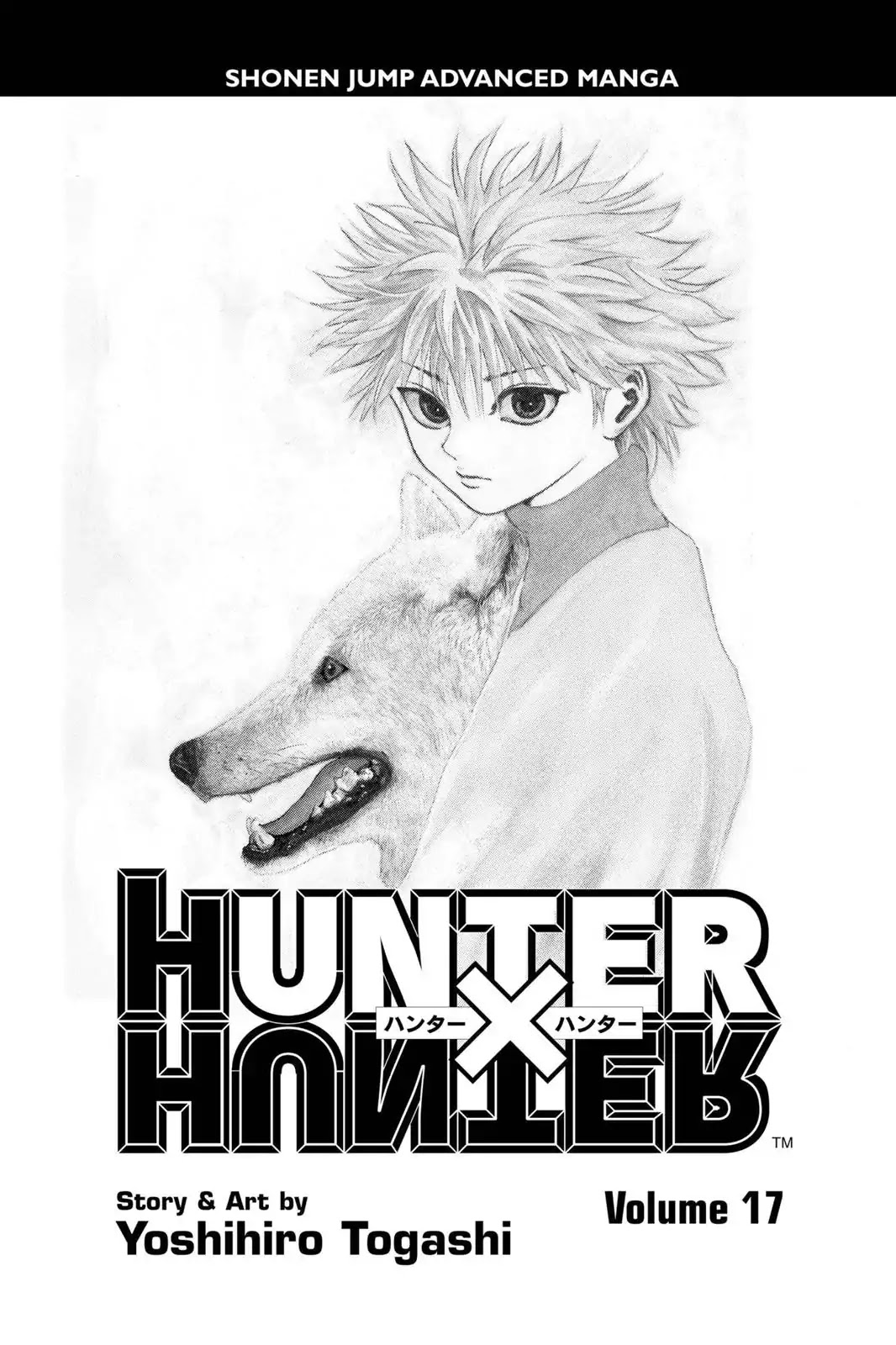 Hunter X Hunter chapter 164 page 4