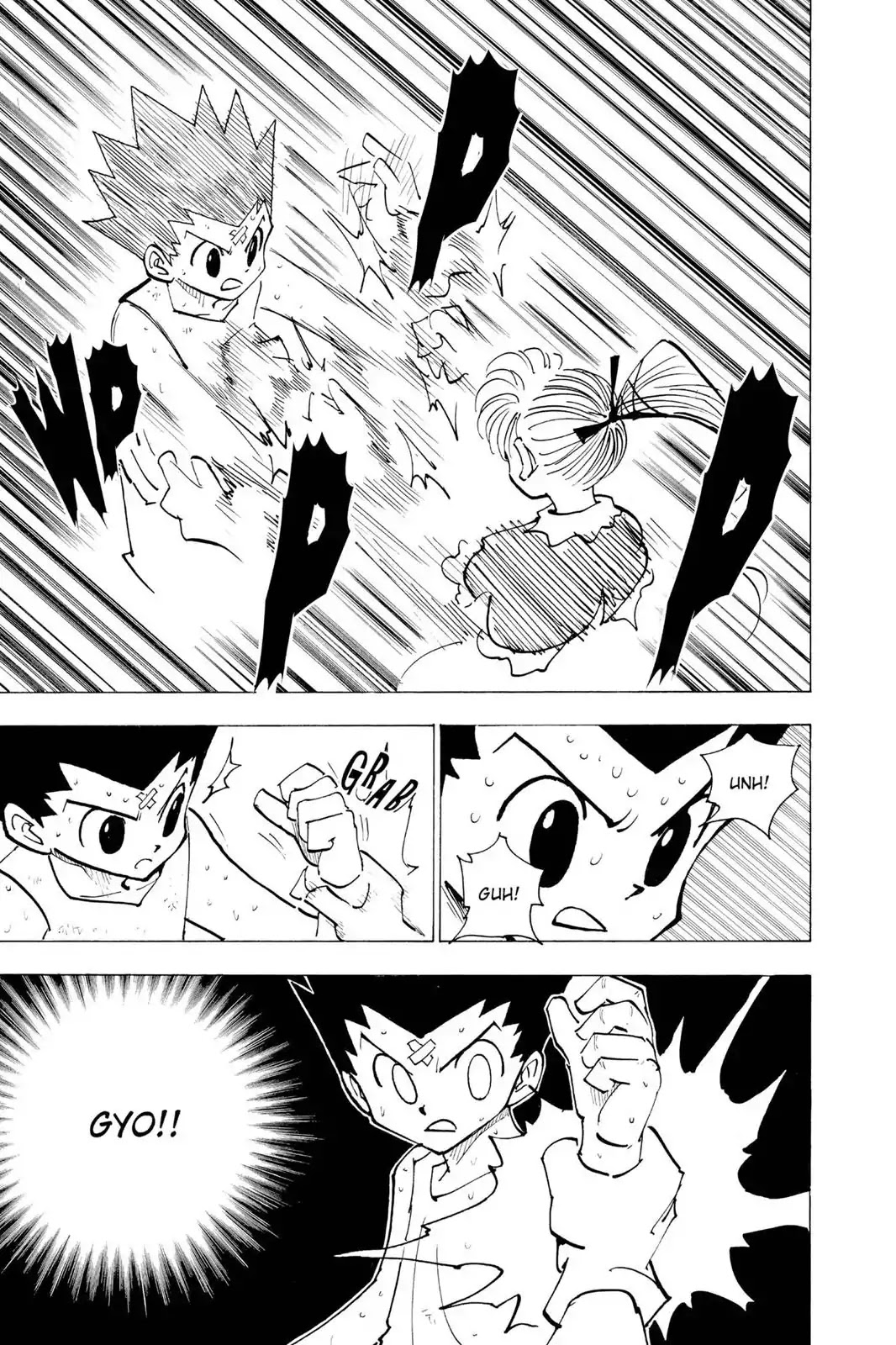 Hunter X Hunter chapter 171 page 5