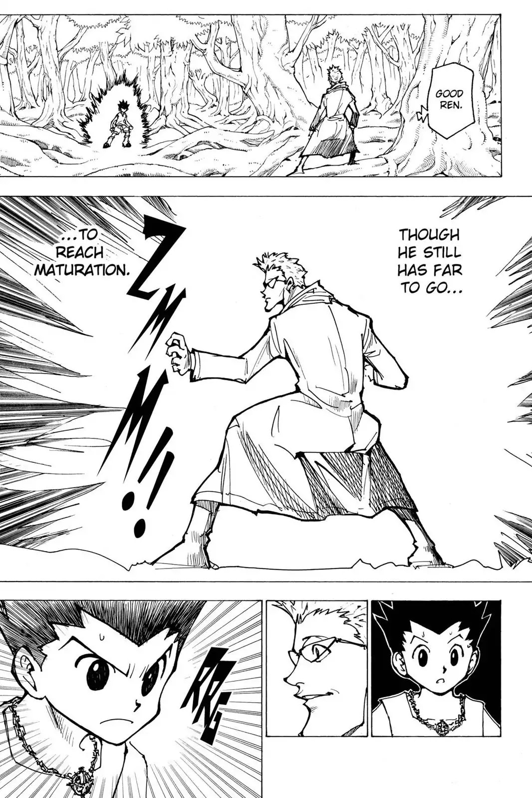 Hunter X Hunter chapter 176 page 13