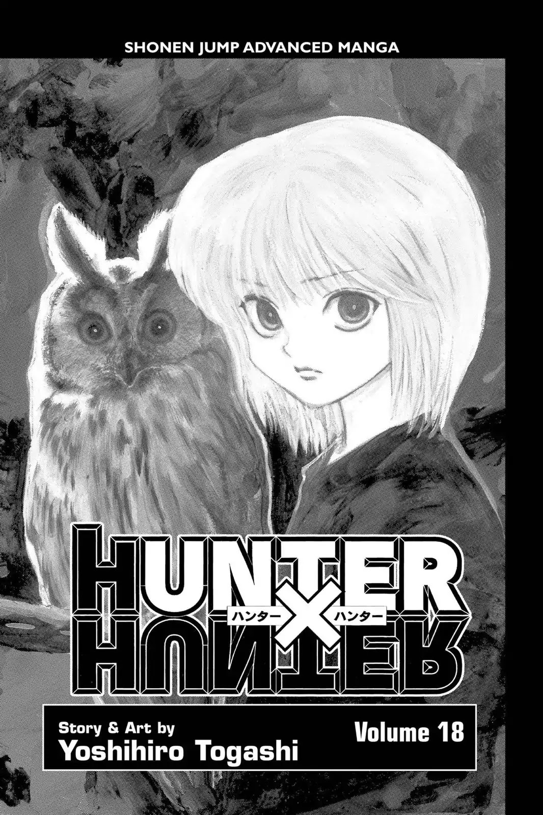 Hunter X Hunter chapter 176 page 4