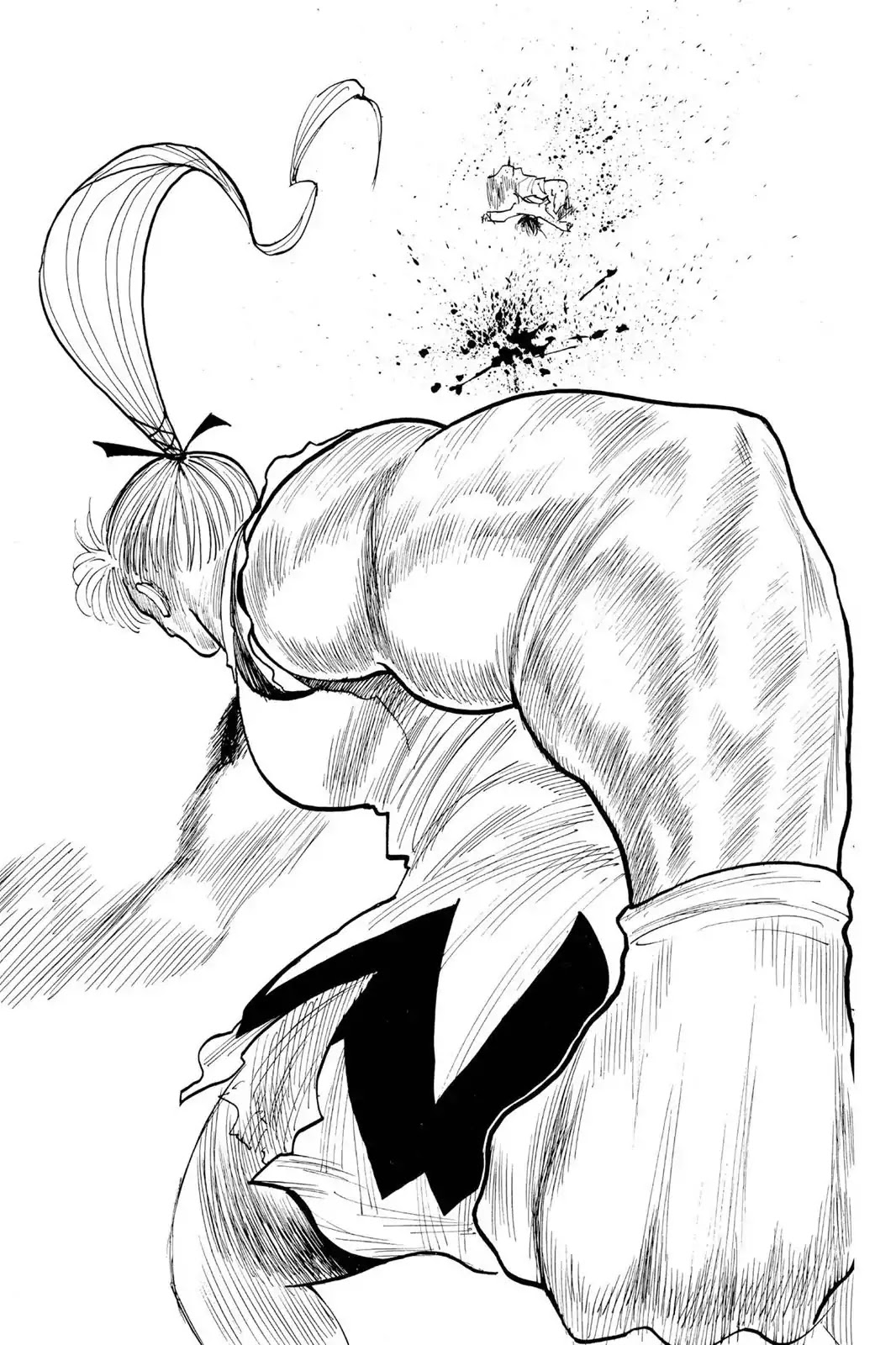 Hunter X Hunter chapter 177 page 13