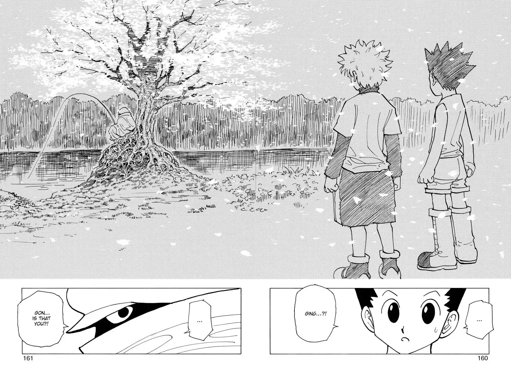 Hunter X Hunter chapter 185 page 10