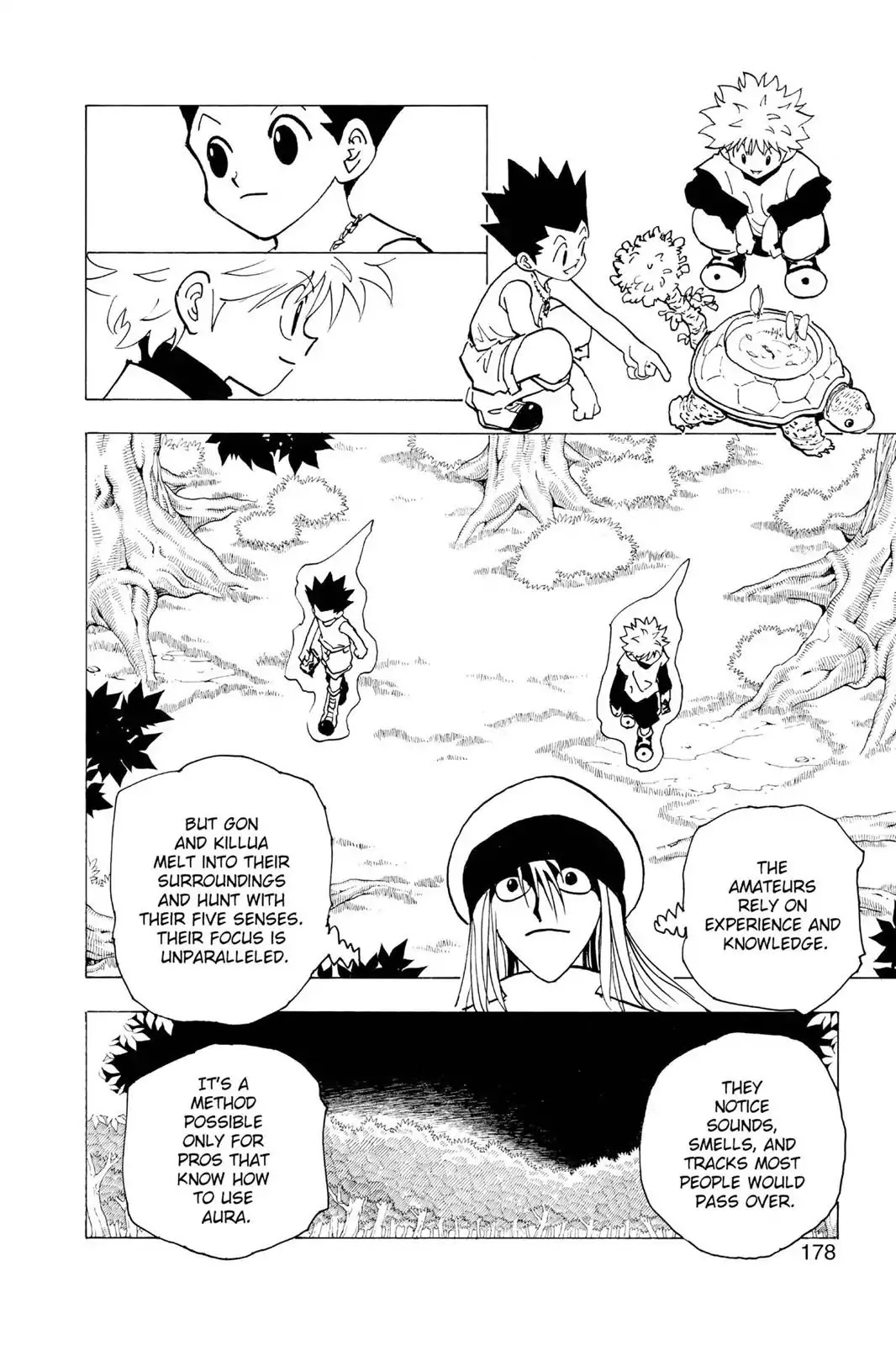 Hunter X Hunter chapter 186 page 12