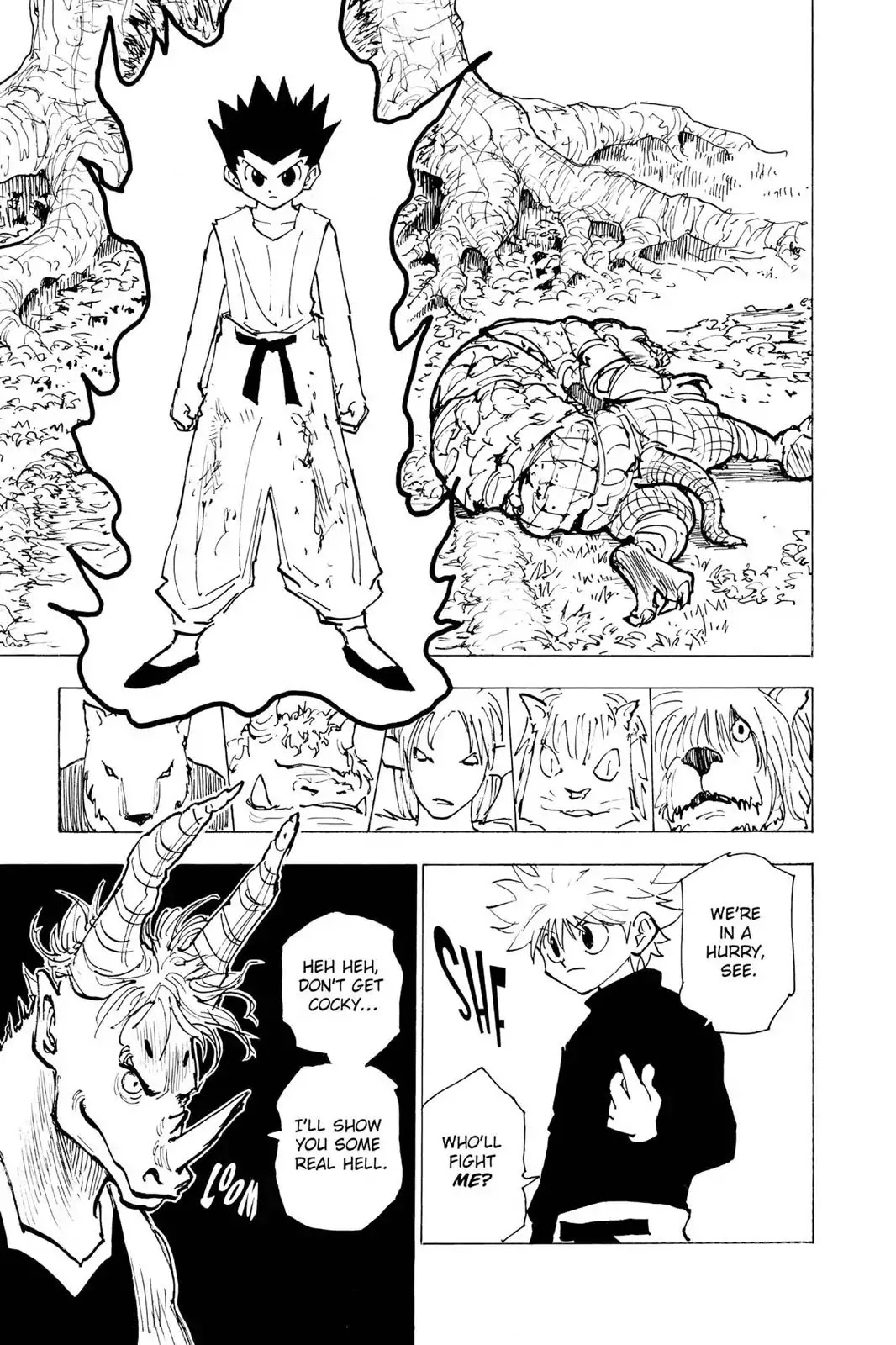 Hunter X Hunter chapter 195 page 14