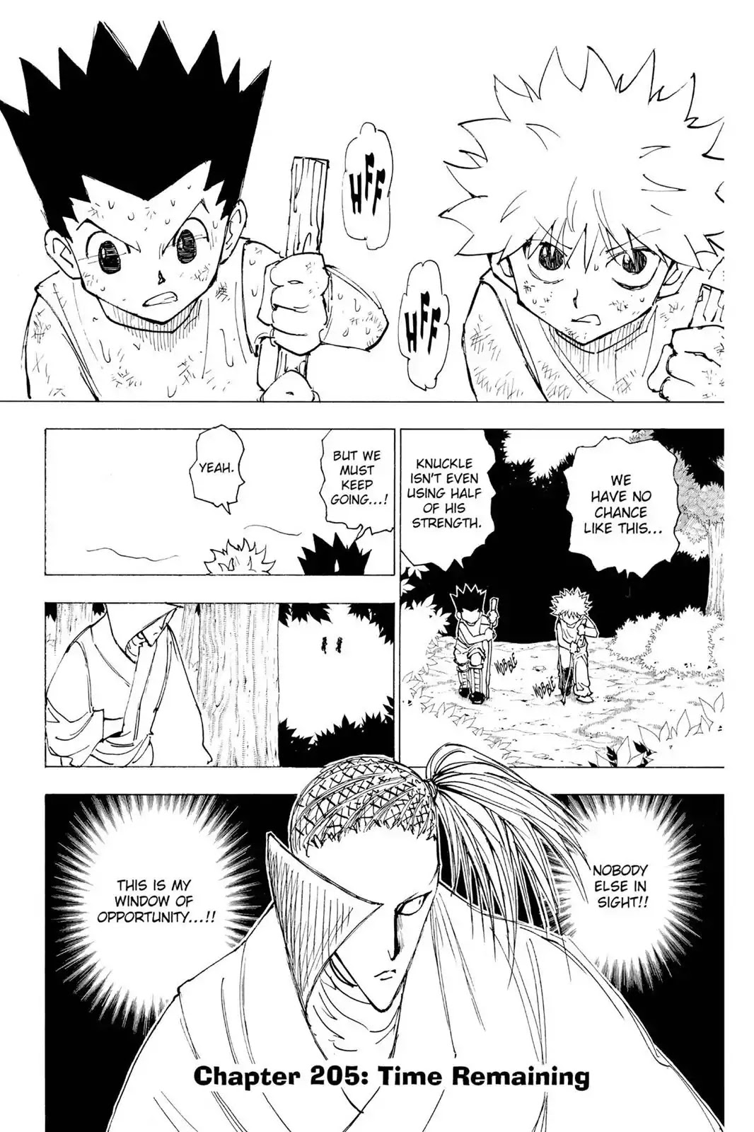 Hunter X Hunter chapter 205 page 1