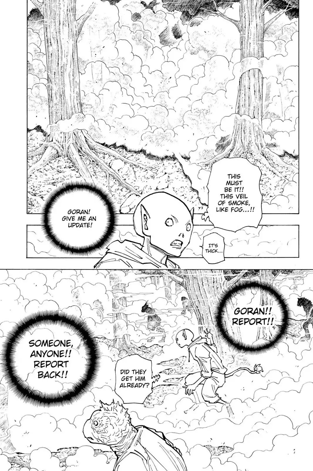 Hunter X Hunter chapter 205 page 11