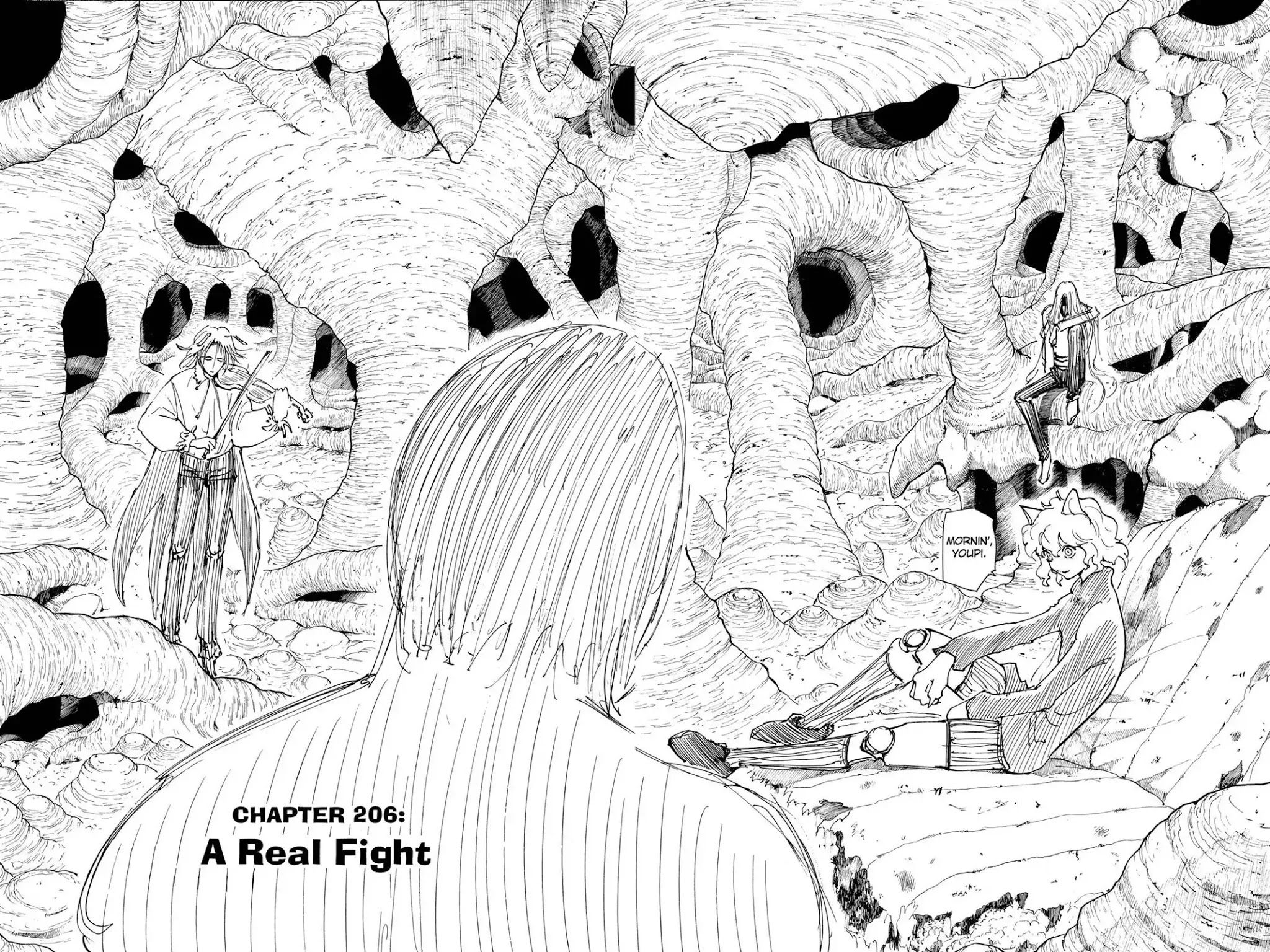 Hunter X Hunter chapter 206 page 4
