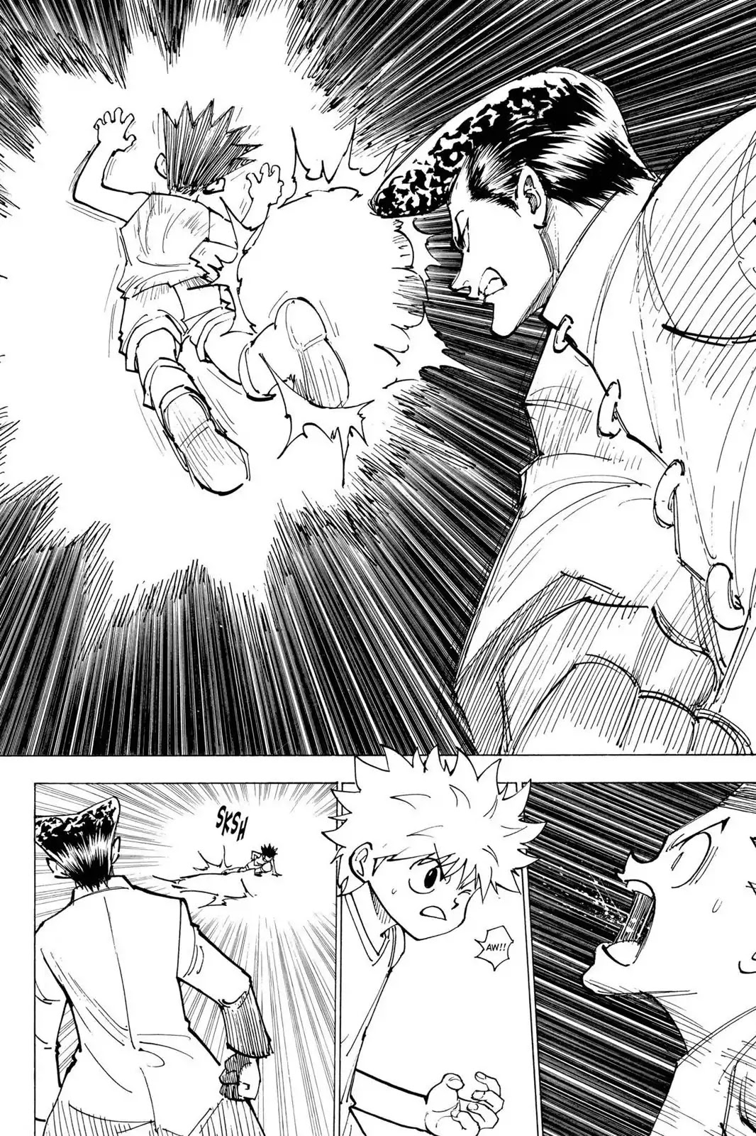 Hunter X Hunter chapter 207 page 2