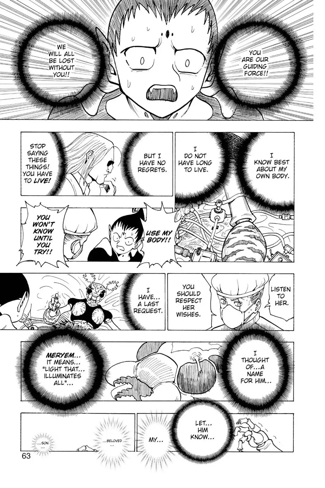 Hunter X Hunter chapter 215 page 9