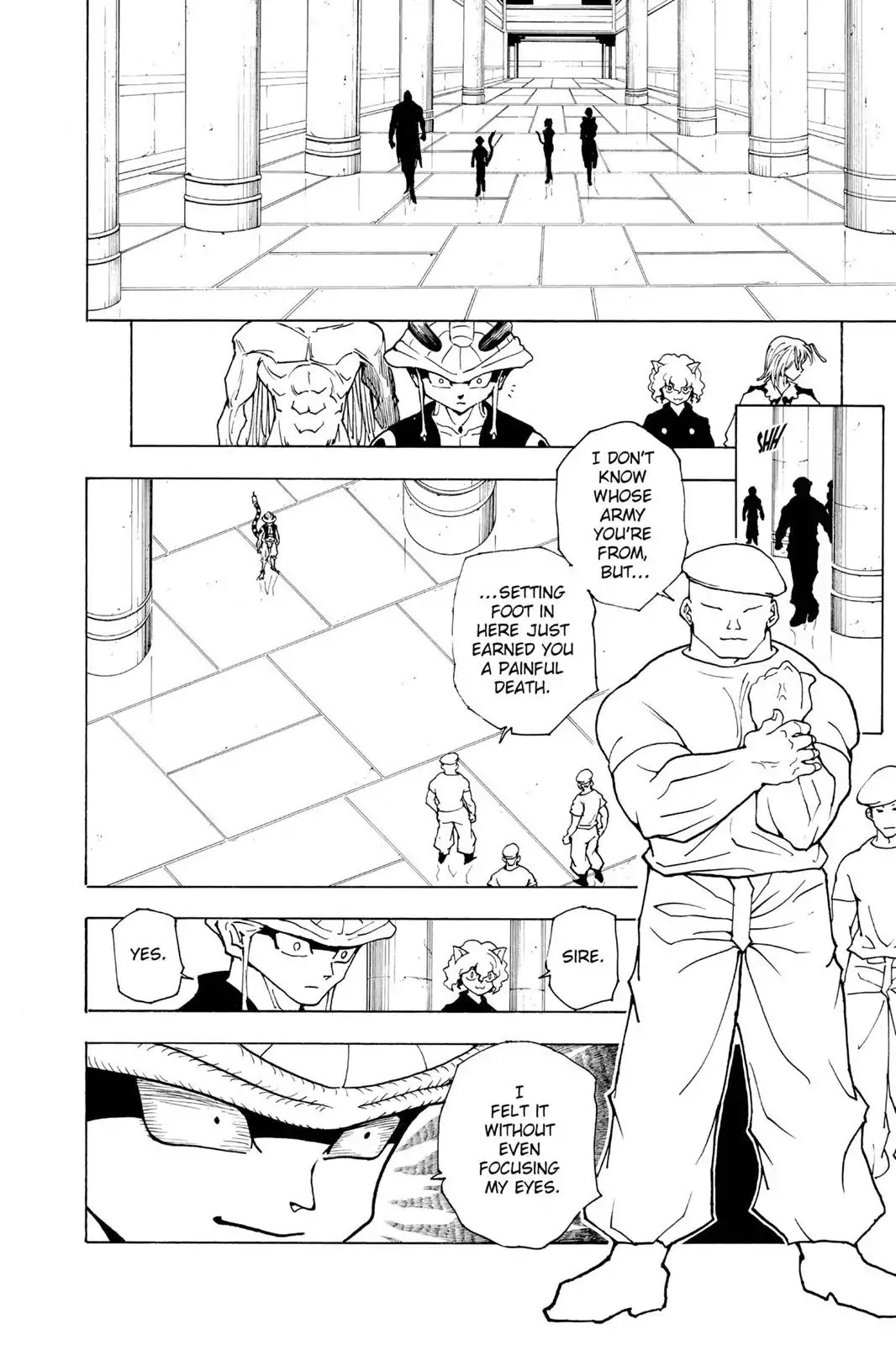 Hunter X Hunter chapter 216 page 14