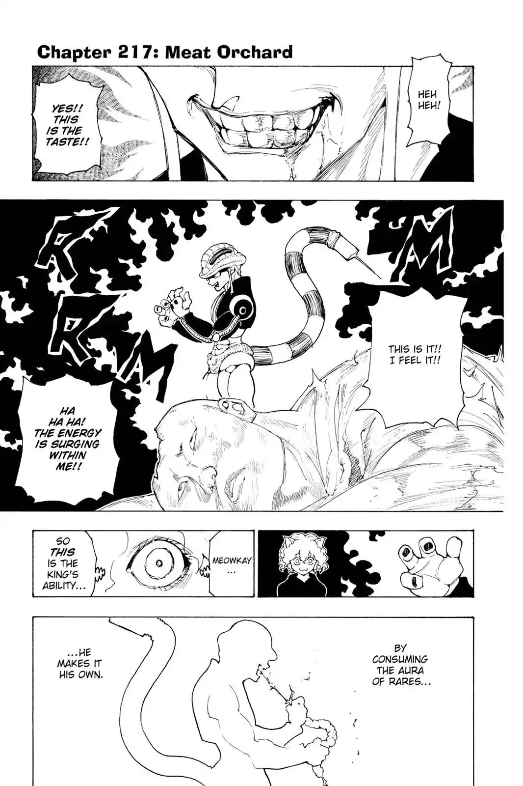 Hunter X Hunter chapter 217 page 1