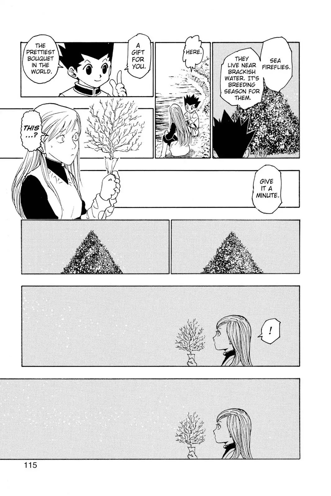 Hunter X Hunter chapter 218 page 13
