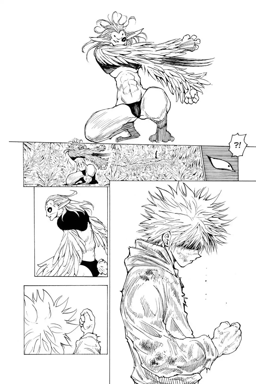 Hunter X Hunter chapter 219 page 10