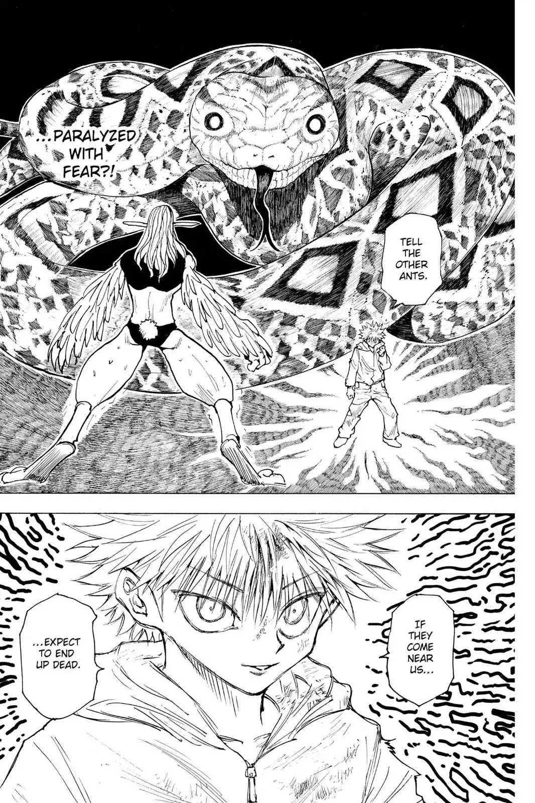 Hunter X Hunter chapter 219 page 13