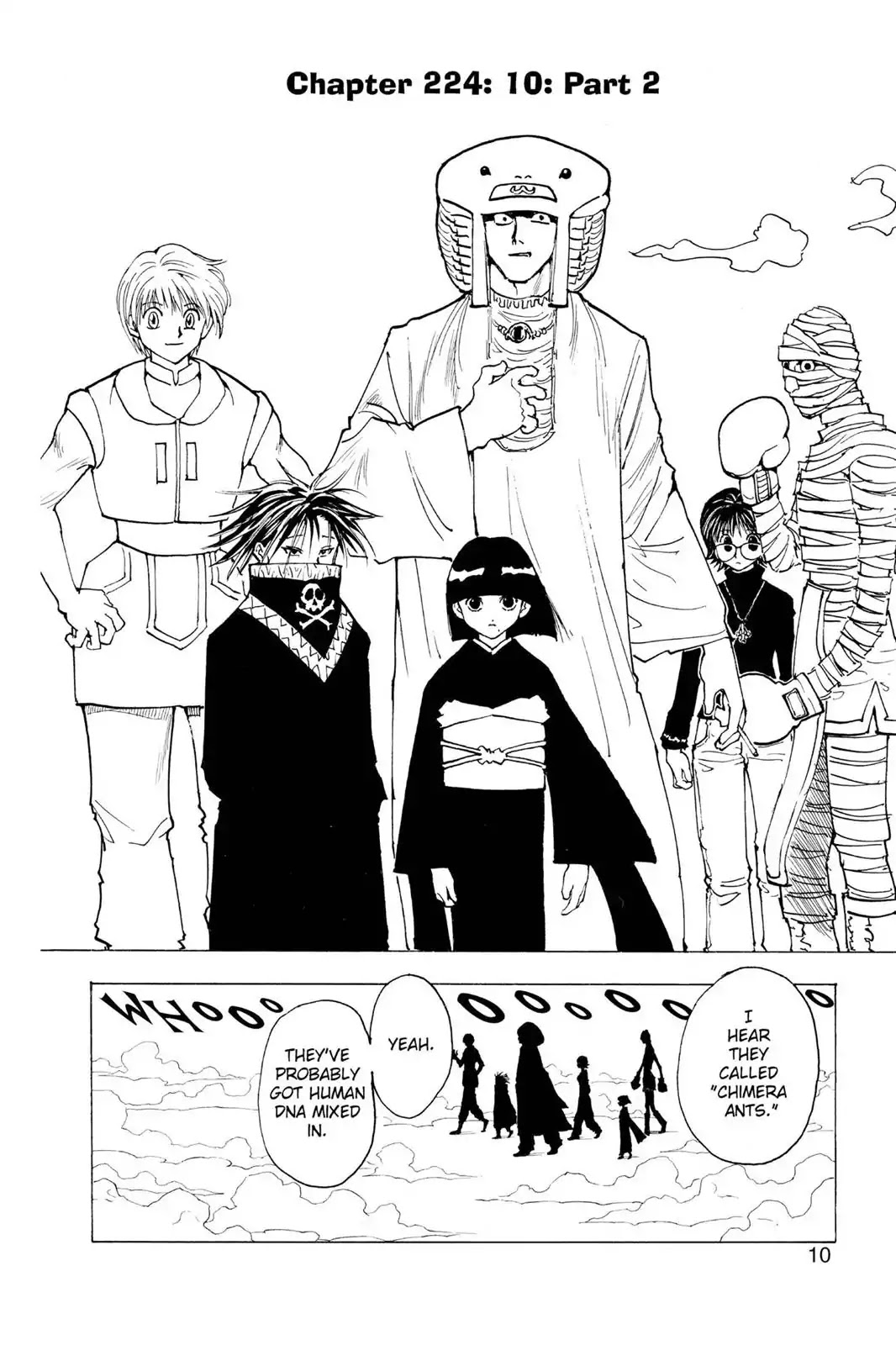 Hunter X Hunter chapter 224 page 10