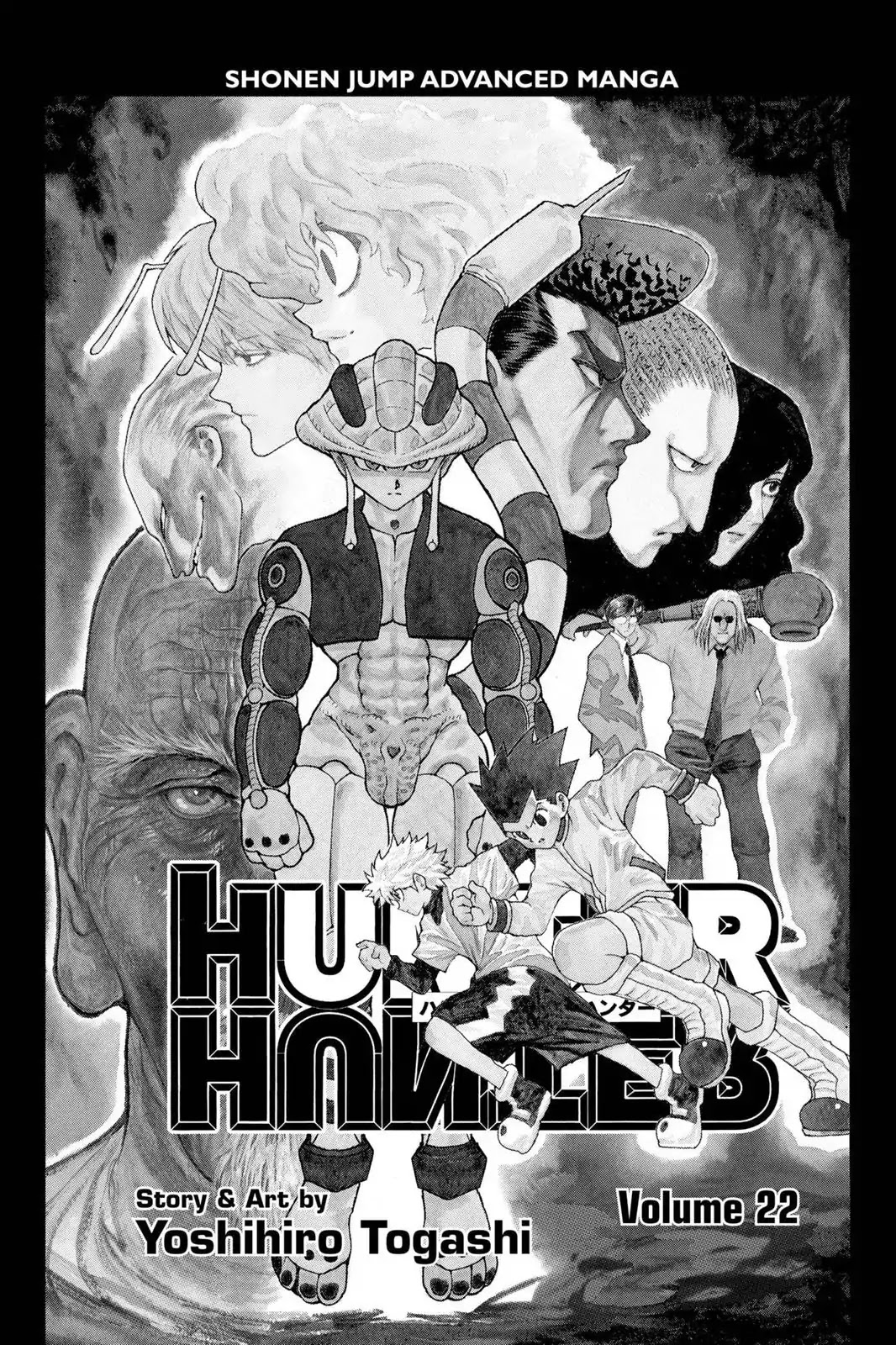 Hunter X Hunter chapter 224 page 4