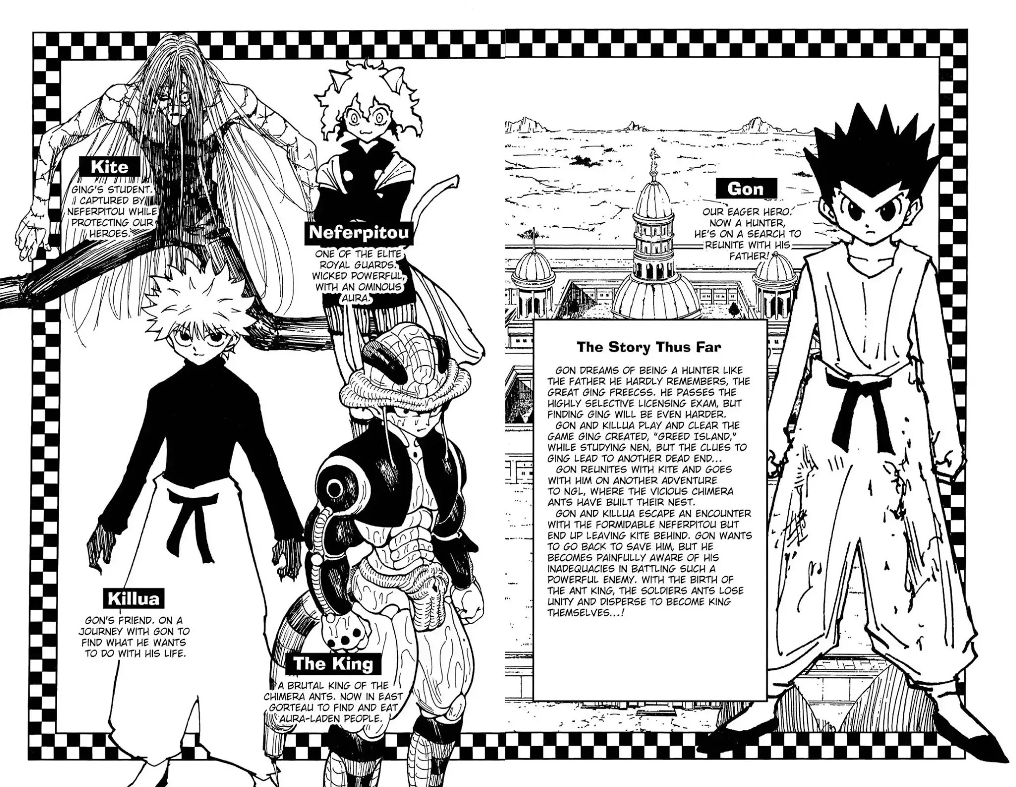 Hunter X Hunter chapter 224 page 5