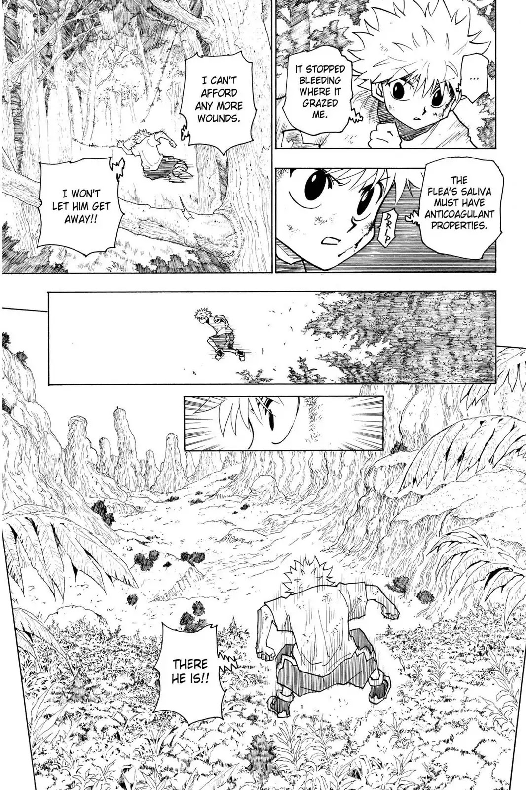 Hunter X Hunter chapter 237 page 10