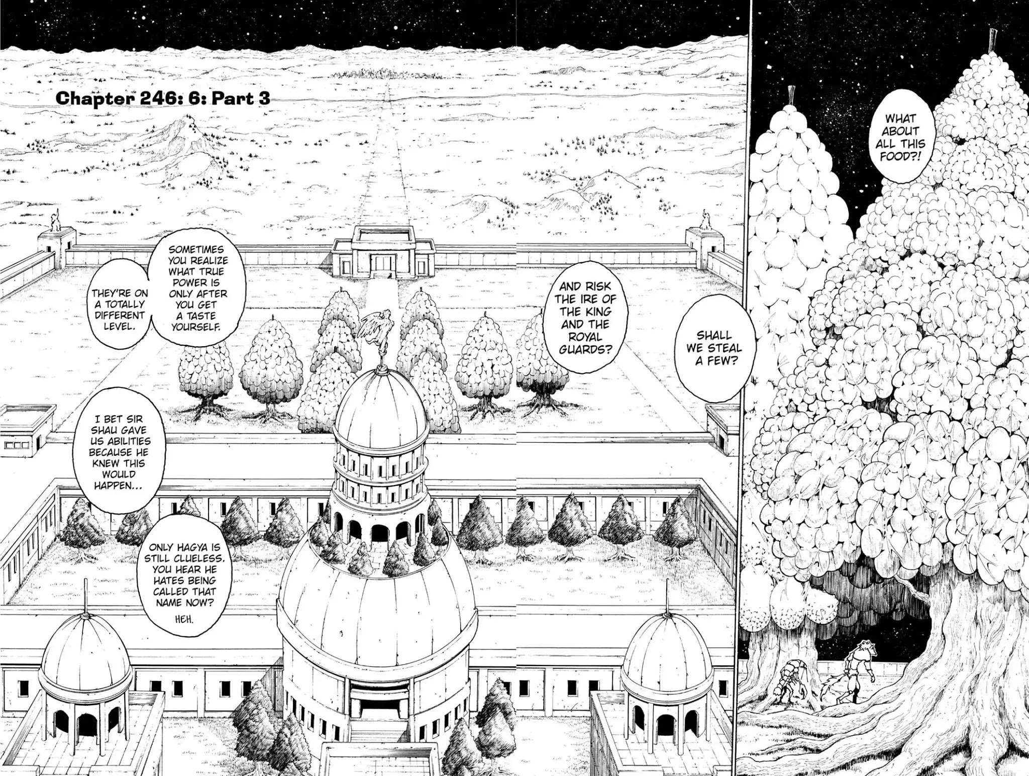 Hunter X Hunter chapter 246 page 2