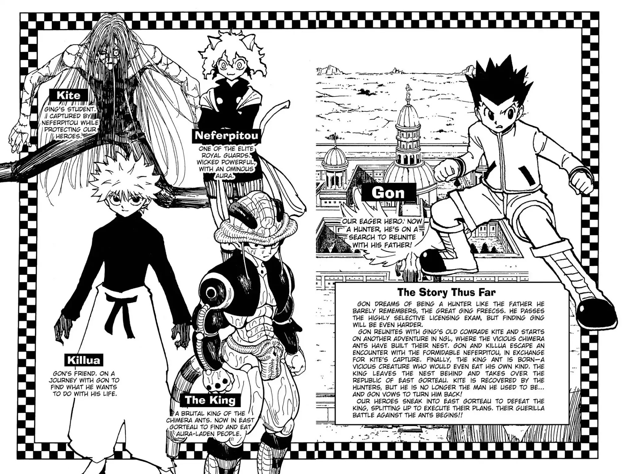 Hunter X Hunter chapter 248 page 5