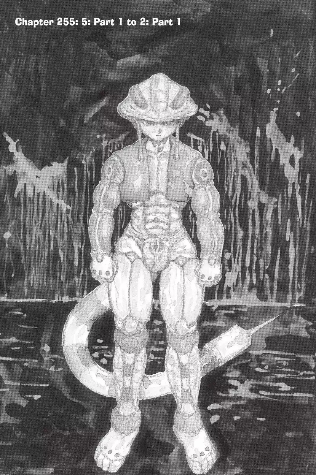 Hunter X Hunter chapter 255 page 1