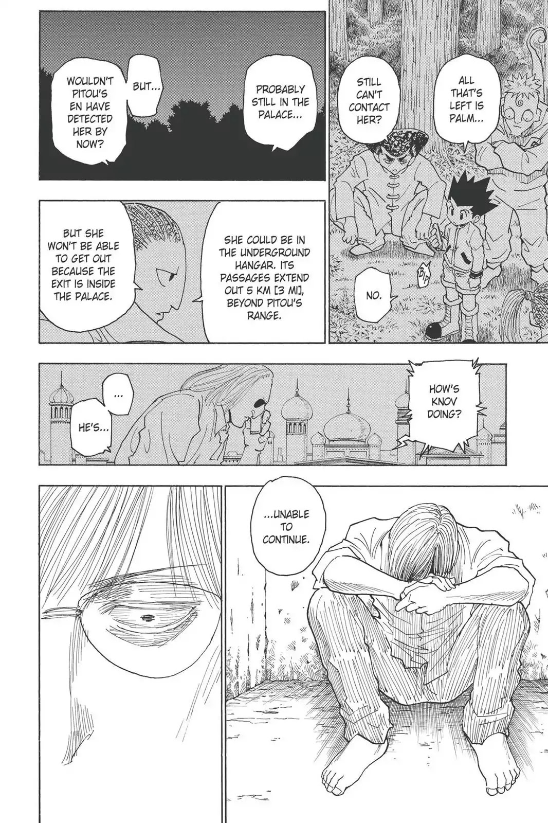 Hunter X Hunter chapter 255 page 13