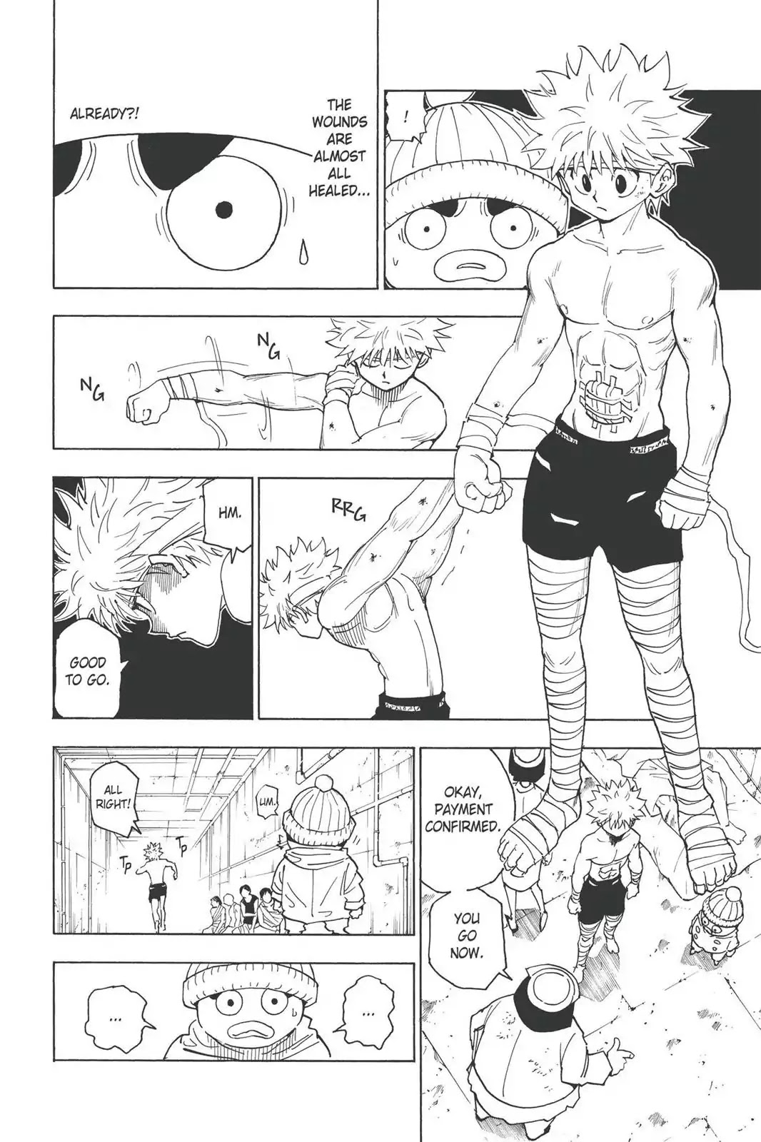 Hunter X Hunter chapter 255 page 7