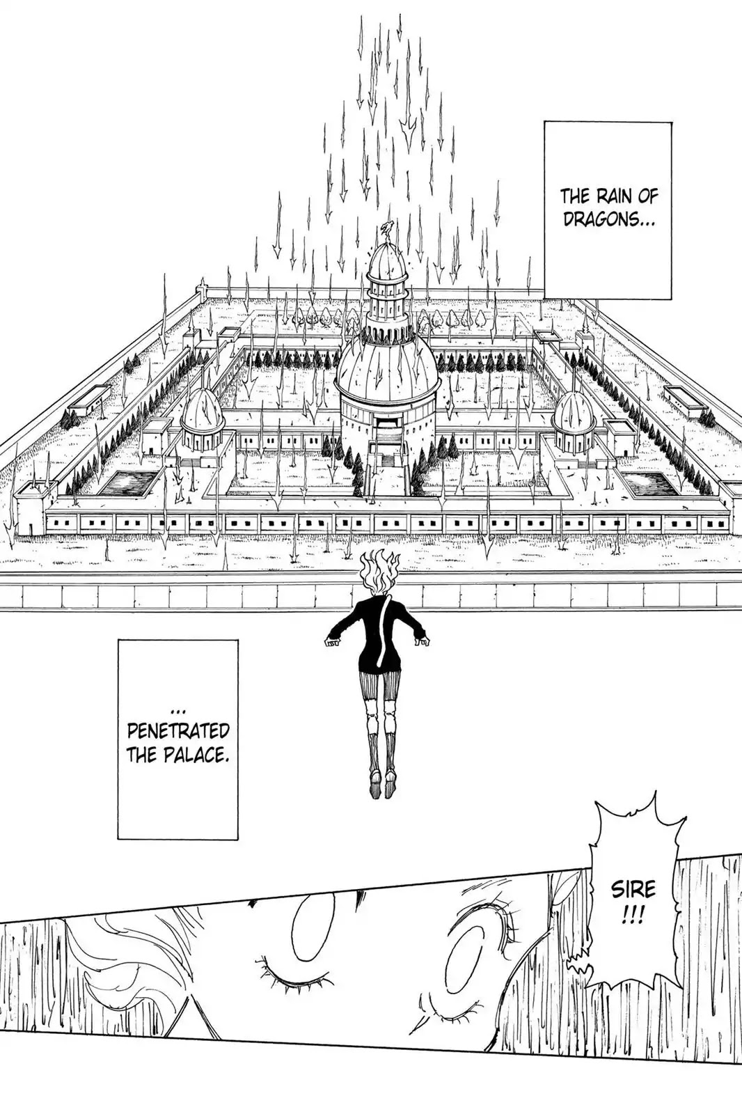 Hunter X Hunter chapter 265 page 13